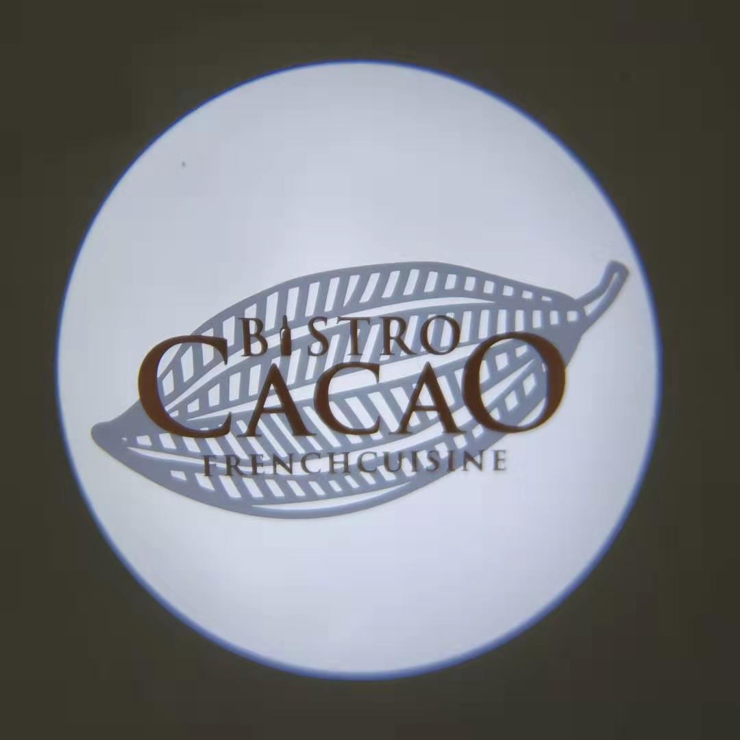 Christmas gobo projector lights